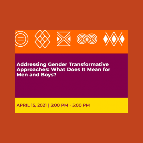 Addressing Gender Transformative